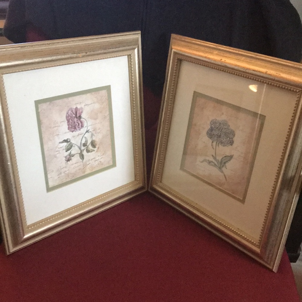 Set of floral pictures